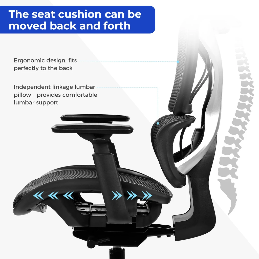 ACMELIFE F020 Dual Back Support Ergonomic Office Chair