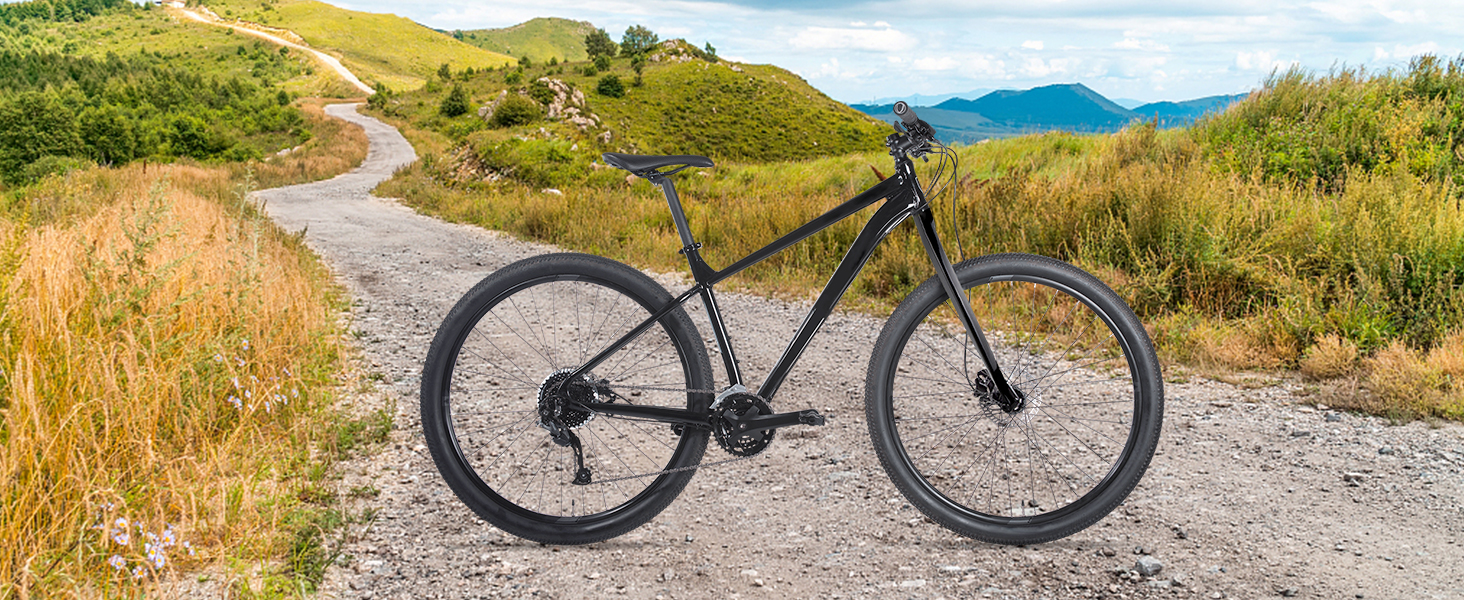 Carbon Fiber Rigid Fork